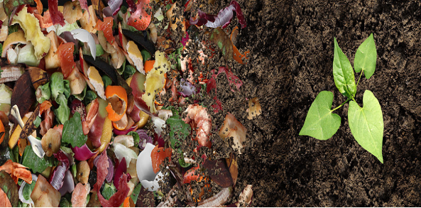 Comment valoriser les déchets agricoles ?