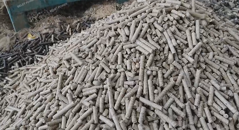 Usine de granulés de bois de 5 à 8 tonnes par heure en Asie du Sud-Est